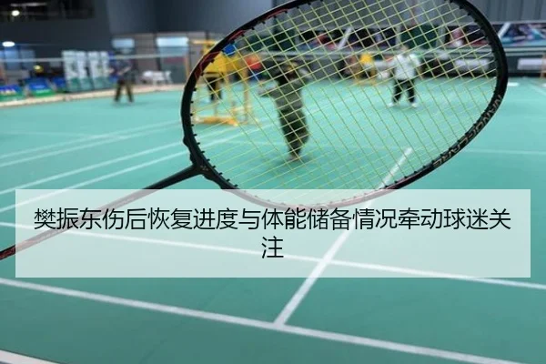 樊振东伤后恢复进度与体能储备情况牵动球迷关注