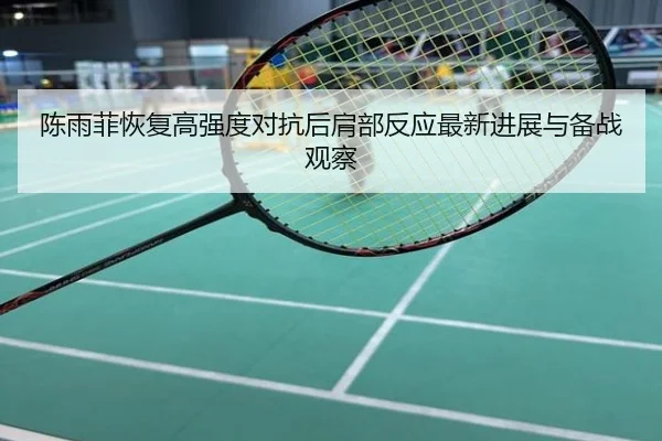 陈雨菲恢复高强度对抗后肩部反应最新进展与备战观察